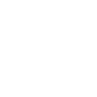 icon google